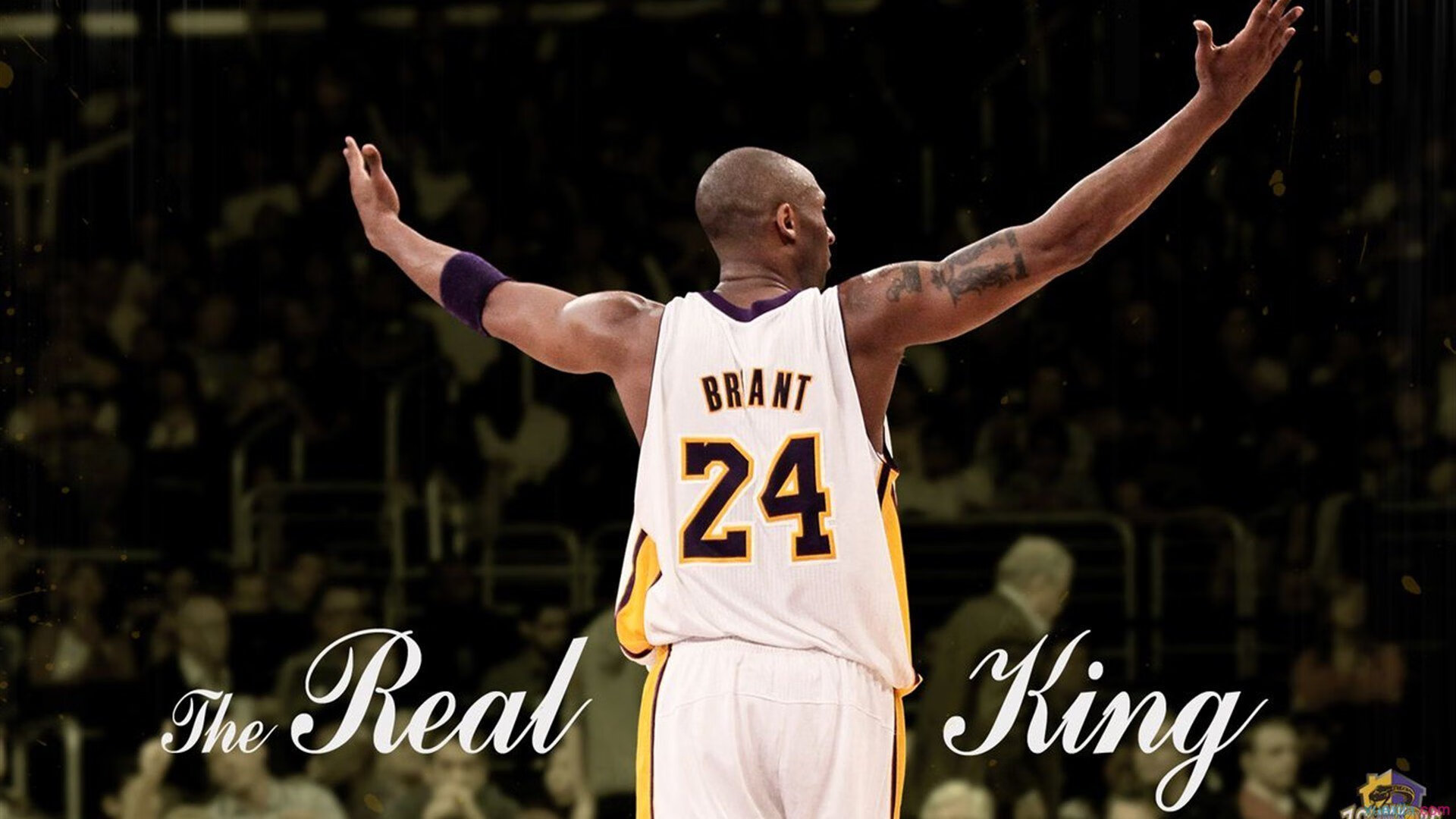 《ApexLegends》“极夜风暴”地图,全新区块大揭晓!